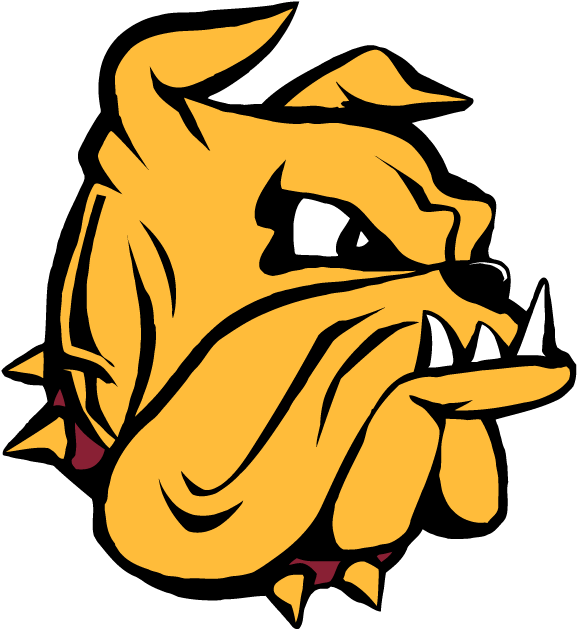 Minnesota-Duluth Bulldogs 1996-Pres Secondary Logo diy fabric transfer